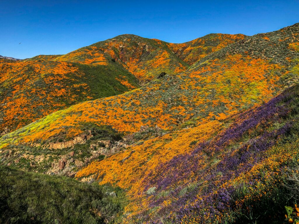 Methods to Obtain a Judgment of Divorce or Legal Separation in California