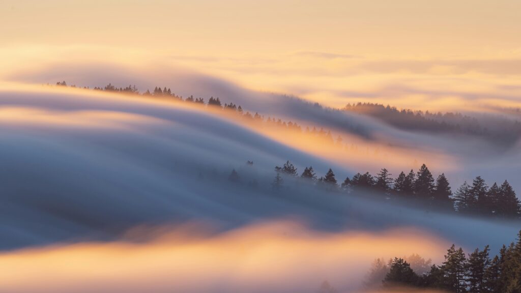 pexels zetong li 880728 14061679